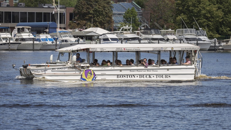 403-3854 Charles River Cruise - Boston Duck Tours.jpg